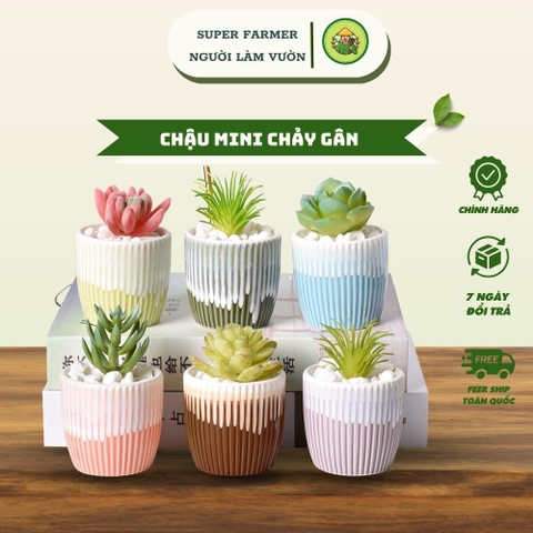 Chậu Sứ Mini Chảy Gân Trồng Sen Đá Decor Super Farmer