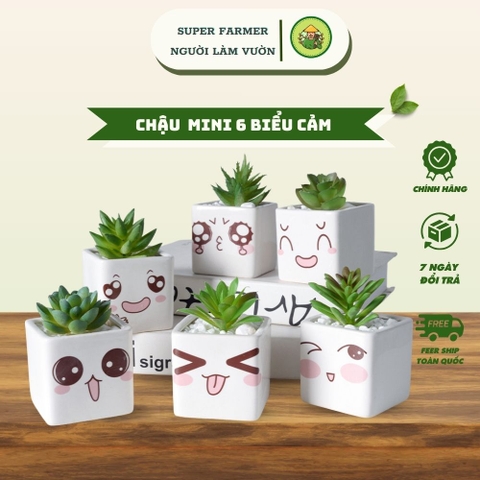 Chậu Mini 6 Biểu Cảm Super Farmer