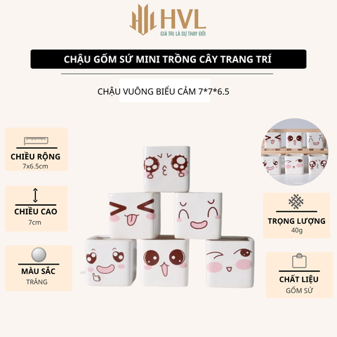 Chậu Mini 6 Biểu Cảm Super Farmer