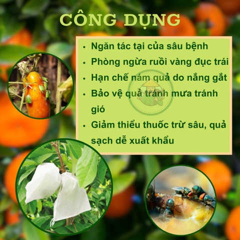 100 Túi Bọc Trái Cây Ổi, Bưởi, Xoài, Na... Nhiều Kích Thước Dùng 3-5 Mùa - NGUOILAMVUON