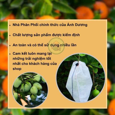 100 Túi Bọc Trái Cây Ổi, Bưởi, Xoài, Na... Nhiều Kích Thước Dùng 3-5 Mùa - NGUOILAMVUON