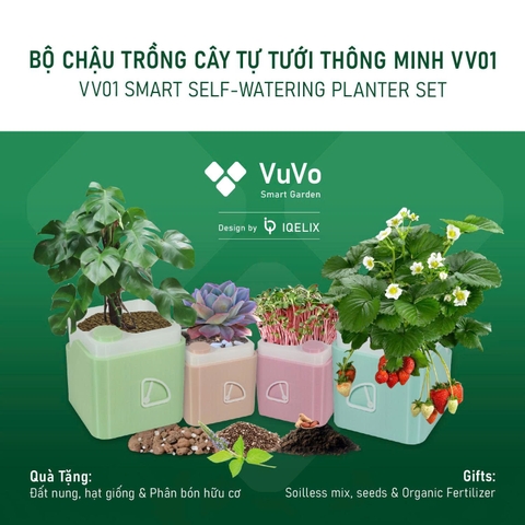 BỘ CHẬU TRỒNG CÂY TỰ TƯỚI THÔNG MINH - VV01