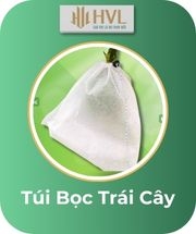 Túi Bọc Trái Cây