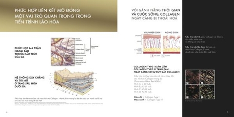 JALUPRO SUPER HYDRO / TINH CHẤT NÂNG CƠ VÀ TRẺ HÓA LÀN DA