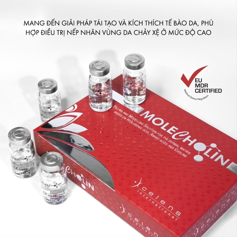 MOLECHOLIN / MESO LÀM SĂN CHẮC, CẢI THIỆN NẾP NHĂN & THU NHỎ LỖ CHÂN LÔNG