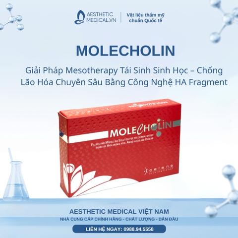 MOLECHOLIN: Giải Pháp Mesotherapy Tái Sinh Sinh Học – Chống Lão Hóa Chuyên Sâu Bằng Công Nghệ HA Fragment