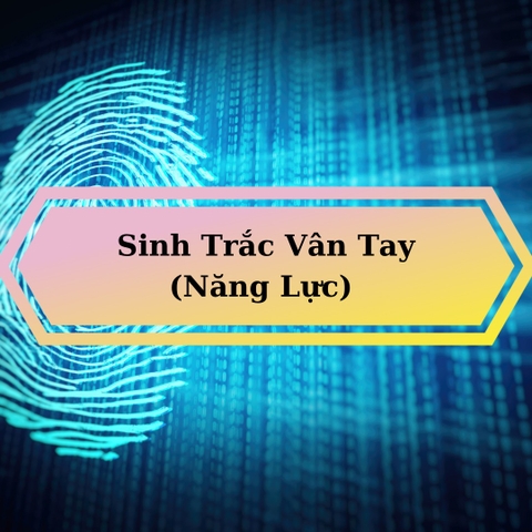 Sinh Trắc Vân Tay gói Năng Lực