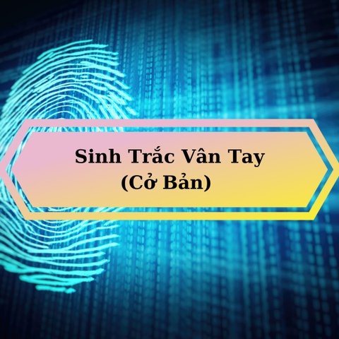 Sinh Trắc Vân Tay (Cơ Bản)