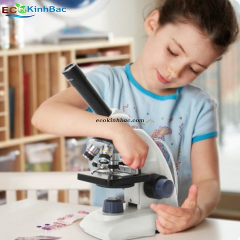 Đơn vị phân phối hàng đầu Kính lúp để bàn, Kẹp bàn có đèn, Kính lúp công nghiệp uy tín tại tỉnh Tuyên Quang