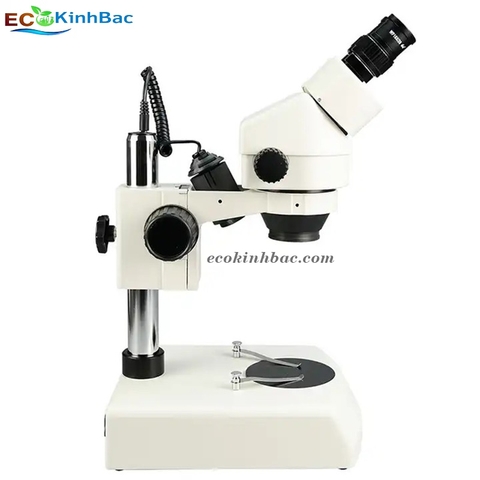 Đơn vị phân phối hàng đầu Kính lúp để bàn, Kẹp bàn có đèn led, Kính lúp công nghiệp uy tín tại tỉnh Bạc Liêu