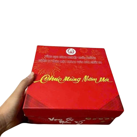 Giàn 100 ống Chúc Mừng Năm Mới Z121 – pháo hoa hợp pháp năm 2025