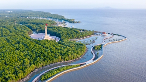 Cẩm nang du lịch Cà Mau 2025: top 11 địa điểm phải đến mới nhất