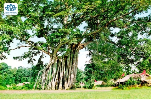 HÀ TĨNH - SAPA - TUYÊN QUANG - HÀ NỘI - HÀ TĨNH