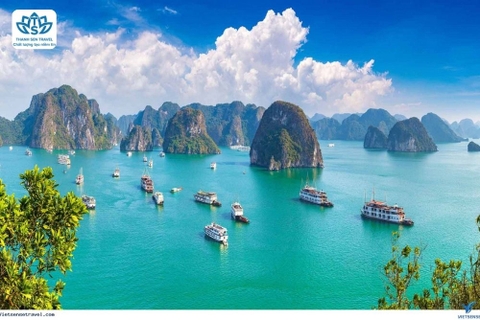 HÀ TĨNH - HẠ LONG - DU THUYỀN VỊNH HẠ LONG - VỊNH LAN HẠ - HÀ TĨNH