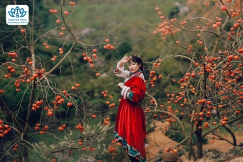 HÀ TĨNH - MỘC CHÂU - HÀ TĨNH 4NG3Đ