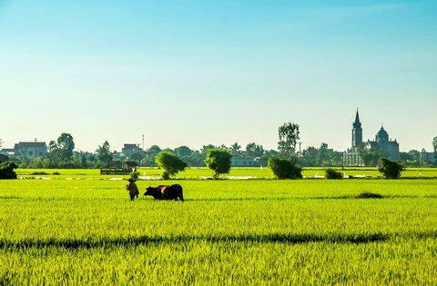 Những điều thú vị làm nên quê hương Thái Bình