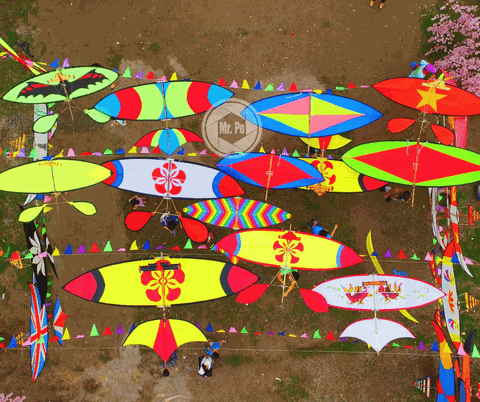 Chơi diều như thế nào để an toàn ?