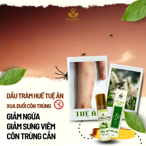 Dầu Tràm Huế Tuệ Ân giúp giữ ấm cơ thể, phòng cảm lạnh, thoa côn trùng cắn cho bé - Chai 20ml
