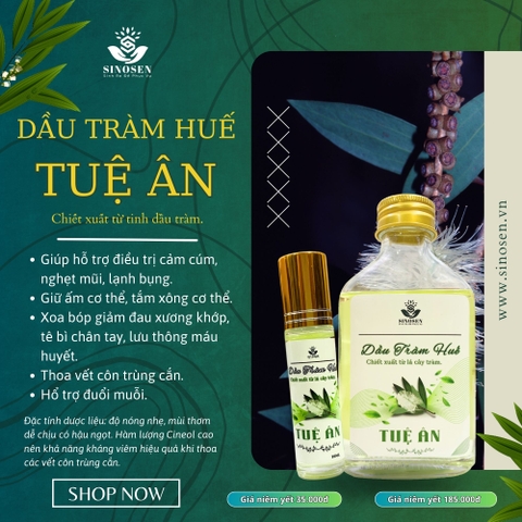 Dầu Tràm Huế Tuệ Ân giúp giữ ấm cơ thể, phòng cảm lạnh, thoa côn trùng cắn cho bé - Chai 20ml