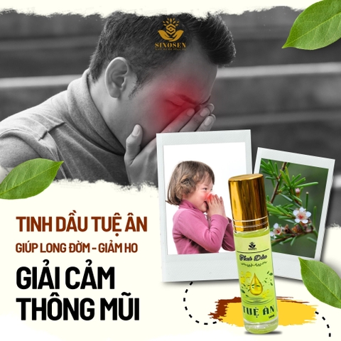 Tinh Dầu Chổi Xuể Tuệ Ân giúp làm ấm, giải cảm, đuổi muỗi, xoa bóp xương khớp - Chai 20ml