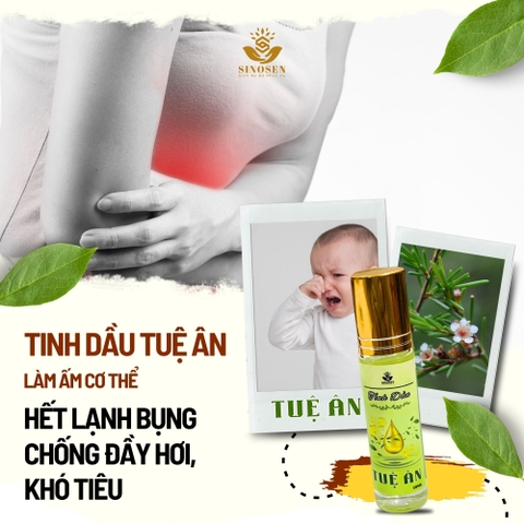 Tinh Dầu Chổi Xuể Tuệ Ân giúp làm ấm, giải cảm, đuổi muỗi, xoa bóp xương khớp - Chai 20ml