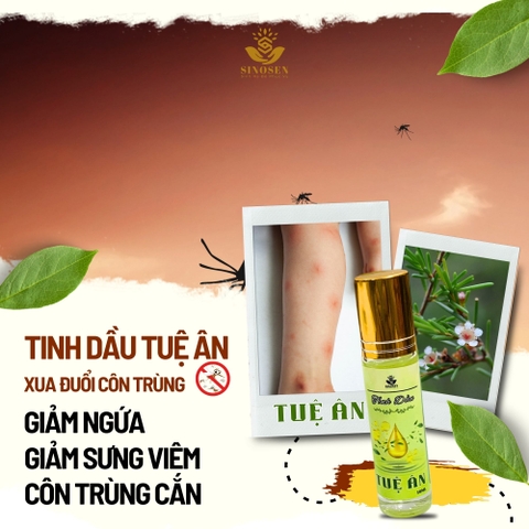 Tinh Dầu Chổi Xuể Tuệ Ân giúp làm ấm, giải cảm, đuổi muỗi, xoa bóp xương khớp - Chai 20ml