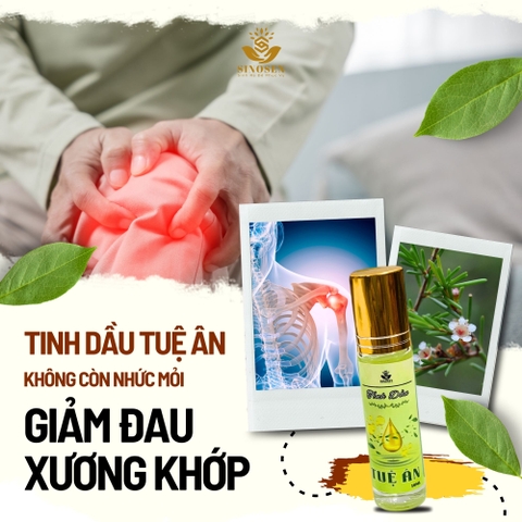 Tinh Dầu Chổi Xuể Tuệ Ân giúp làm ấm, giải cảm, đuổi muỗi, xoa bóp xương khớp - Chai 20ml