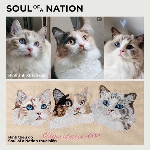 Dự án thêu pet mèo Celine & Gucci & Otto