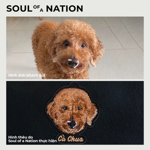 Dự án thêu pet chó Cà Chua