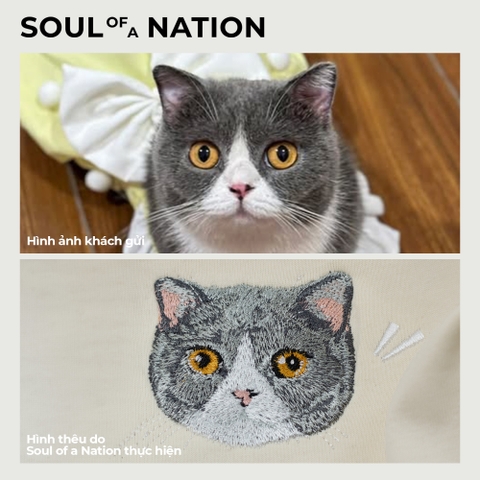 Dự án thêu pet mèo Bo