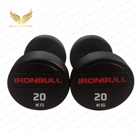 Tạ tay thép bọc cao su Ironbull IR04 nhập khẩu chính hãng 20kg