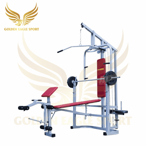 GIÀN TẬP TẠ BEN 601502,Ghế đẩy tạ đa năng Vifasport Ben 601502
