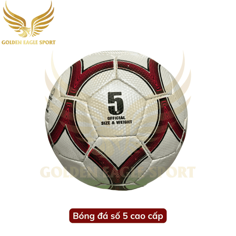 Quả bóng đá số 5 cao cấp ( tặng kèm kim bơm và lưới đựng bóng )