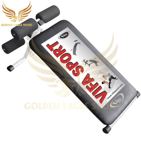 Dụng cụ tập lưng bụng 601008