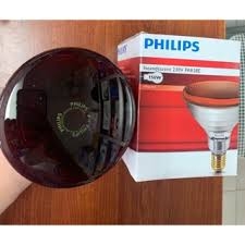 Bóng đèn hồng ngoại philips 150W