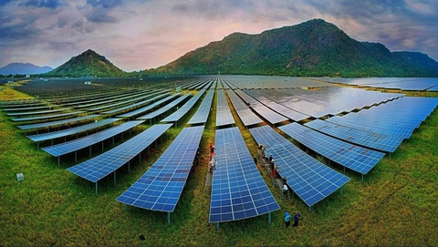 AN HẢO SOLAR FARM VỊ NGỌT, HƯƠNG THƠM NGÀY NẮNG HẠ