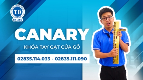 CANARY COLLECTION - CẢM HỨNG SÁNG TẠO TỪ HOA MAI