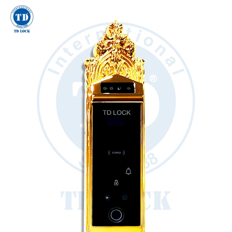 KHÓA ĐIỆN TỬ THÔNG MINH CỬA GỖ - BSM-488489-G