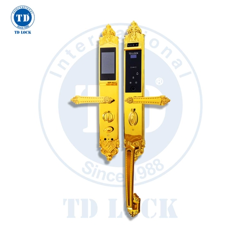 KHÓA ĐIỆN TỬ THÔNG MINH CỬA GỖ - BSM-488489-G