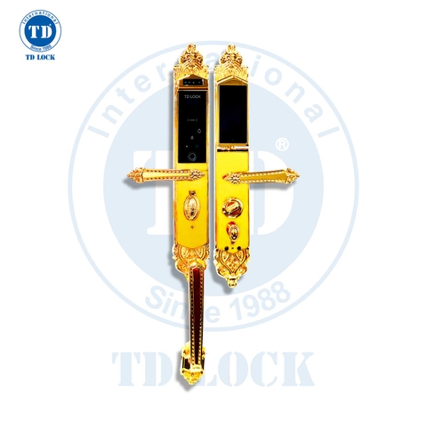 KHÓA ĐIỆN TỬ THÔNG MINH CỬA GỖ - BSM-488489-G