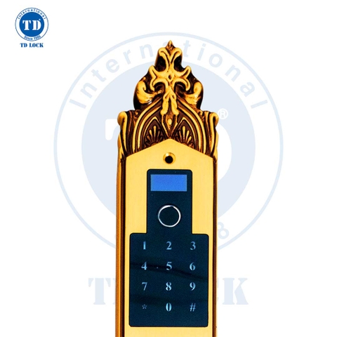 KHÓA ĐIỆN TỬ THÔNG MINH CỬA GỖ- BSM - 488888-2