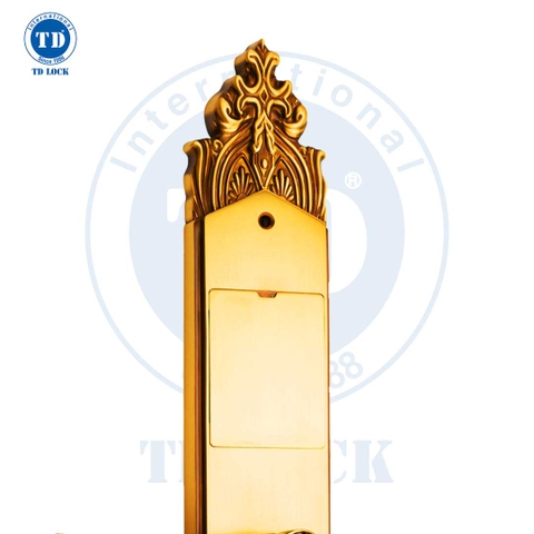 KHÓA ĐIỆN TỬ THÔNG MINH CỬA GỖ - BSM-680488-2