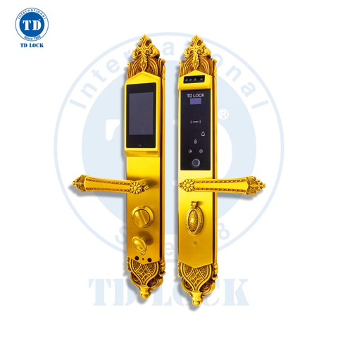 KHÓA ĐIỆN TỬ THÔNG MINH CỬA GỖ - BSM-680489-2