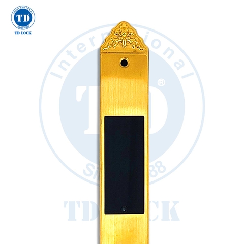 KHÓA ĐIỆN TỬ CỬA NHÔM - SSM-380380-G GOLD