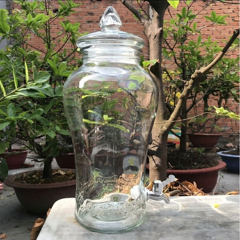 Bình thủy tinh 6 lít sâm chân mây [ không van ] & [ có van ] *BAO BỂ VỠ*