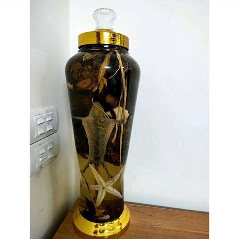 [GIÁ HỦY DIỆT] bình sâm ngâm rượu 3L 4L 6L 8L