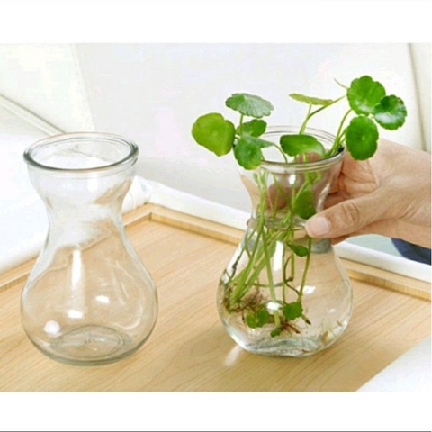 Bình bông lọ hoa thủy tinh miệng loe - bình bông Tiên Ông - bình thủy tinh trồng thủy canh, cắm hoa