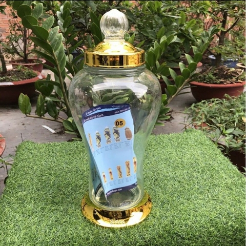 Bình ngâm rượu sâm thủy tinh VIỆT NAM 5 lít có van và không van PHÚ HÒA