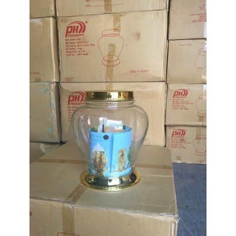 Bình ngâm rượu, hoa qua, đựng đồ 7.7 lít