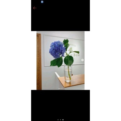 Bình Thủy Tinh Cắm Hoa - Trụ Búp